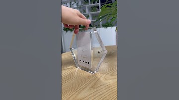 Lively Memories - Motion Video Frame  sales@ssa-digital.com