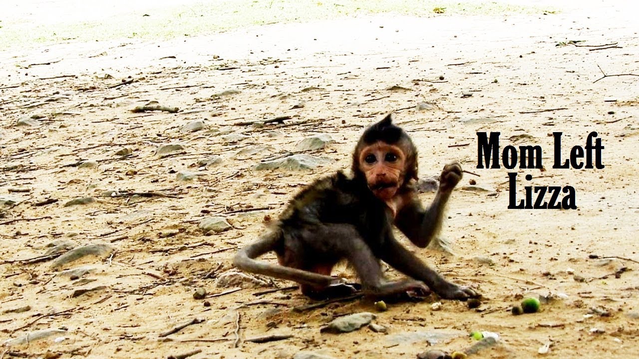 foundation medicine Lizza Afraid Left Alone, Mom Don't Want Lizza Clinging Again Coz Lizza Good at Walking