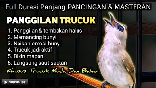 Download Lagu TRUCUKAN GACOR MEMANGGIL || pancingan, masteran terbaik untuk trucuk dan burung lainya MP3
