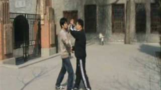 Baji - Three pointing hands of the King Yan (Judge of hell) - Master Zhou jingxuan