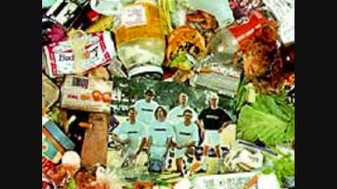 Lagwagon - Stokin' the Neighbors