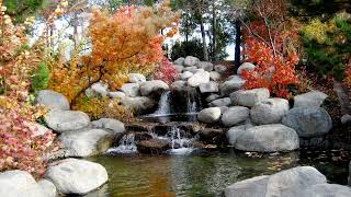 Magic Forest by Kevin MacLeod [Relaxing Sleeping Music]