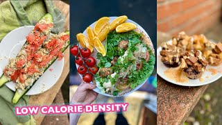 WHAT I ATE TODAY | Healthy Vegan Meal Ideas & Weight Loss Chat