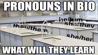 ALL OF R/SURREALMEMES