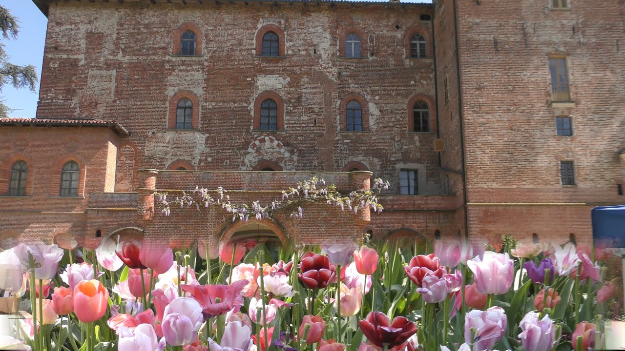 Castello di Pralormo  -  Messer Tulipano 2022