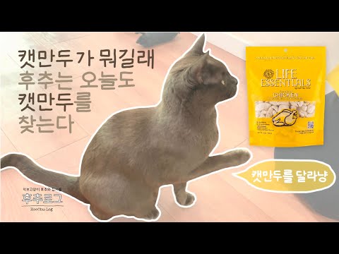 캣만두가 도대체 뭐길래 | 고양이 동결건조 간식 | 후추로그