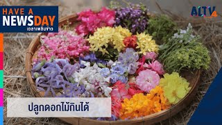 Have a newsday : ช่วง20.00 น. (20 เม.ย. 64) Have a newsday : ช่วง20.00 น. (20 เม.ย. 64)