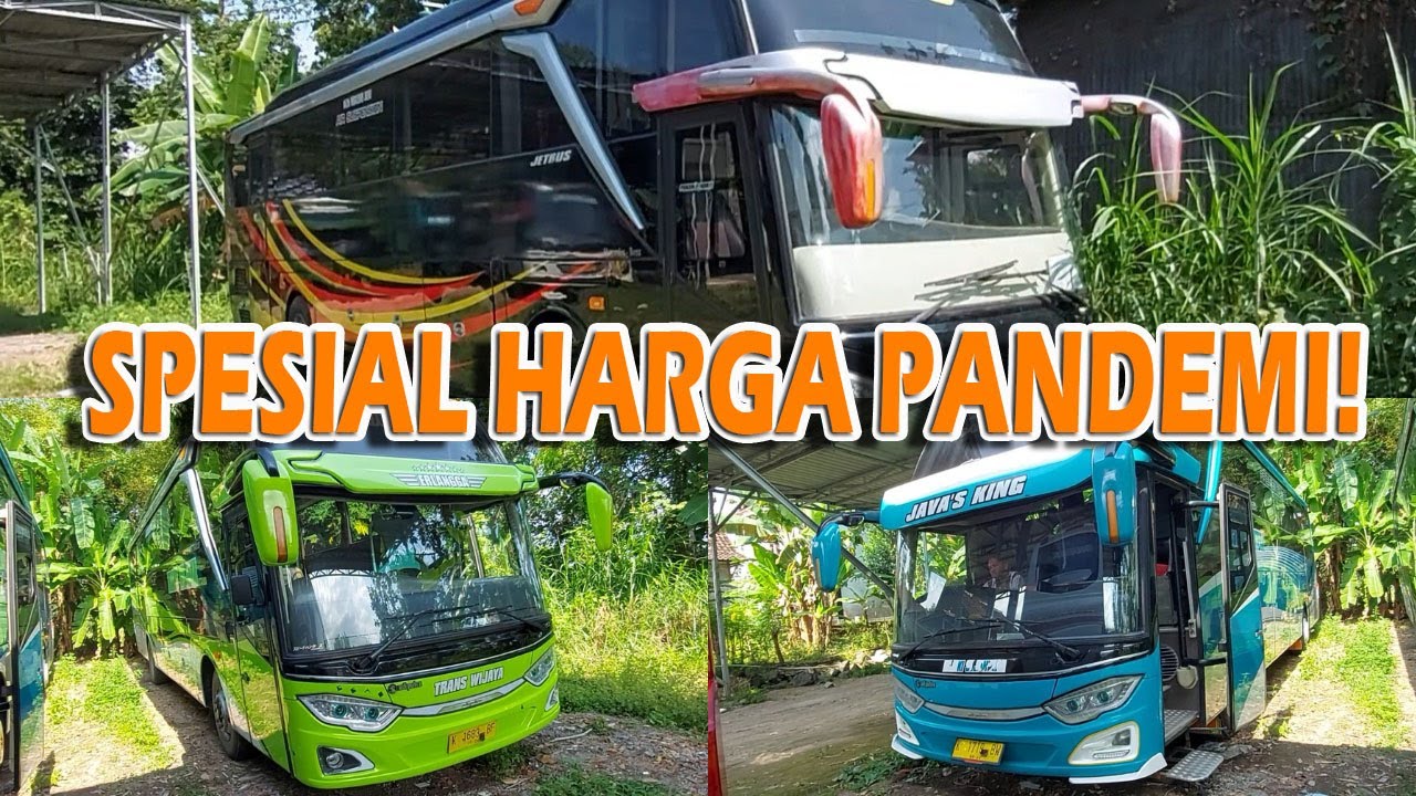 Jual Beli Bus | MAU HINO ATAU MERCY? READY UNTUK DIJUAL MUMPUNG MASIH HARGA PANDEMI!