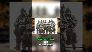 Formation Sas Durée, Spécialités Et Organisation Expliquées