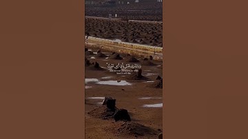 تلاوه خاشعه مؤثره للشيخ ياسر الدوسري.❤️#foryou #gaza #palestine #غزة #فلسطين #قرآن #fyp #foryou 🇵🇸♥️