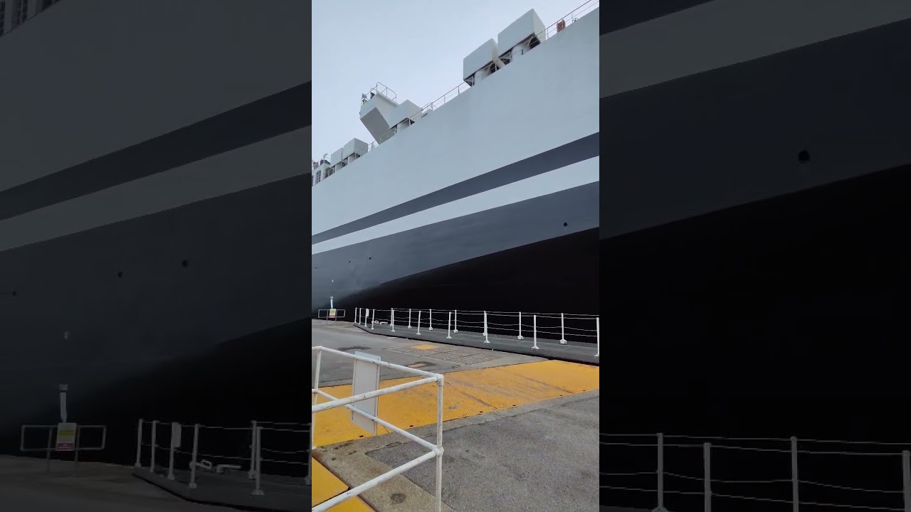 MSC Cristiana vehicle carrier departing