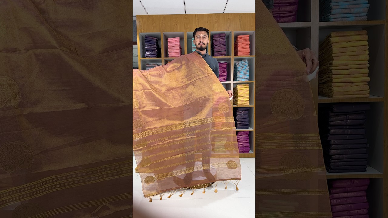 Royal Tissue Silk Zari Weaving & Mango Border Saree