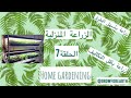 الزراعة المنزلية|تشتيل البذور وسبق الموسم الزراعي في الخليج