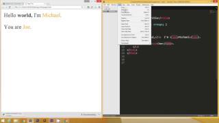 Web Development Basics - HTML and CSS