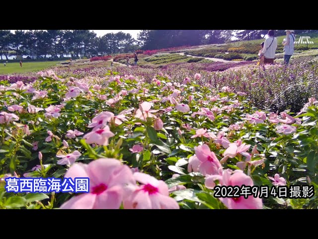 4k 葛西臨海公園の展望広場 デザイン花壇 2 22年9月4日 Youtube