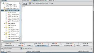 Celebrity OWASP ZAP Hands-On Net Worth