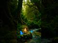 “Calming Nature Harmony | Water Flow, Candle Light & Butterfly Relaxation” #relax #relaxation