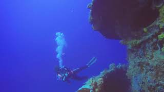 Deep Wrecks of Butler Bay