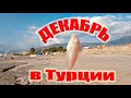 Как ловить рыбу в Средиземном море. Декабрь в Турции.