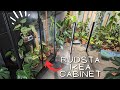 How I built my RUDSTA IKEA GREENHOUSE and COOL accessories