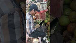 Mastering the Art of Coconut Cutting Easy Step by Step Guide