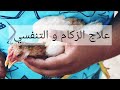 علاج الزكام و التنفسي عند الدجاج ..