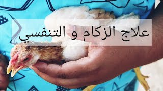 علاج الزكام و التنفسي عند الدجاج ..