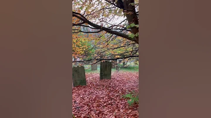 Autumn - Durham
