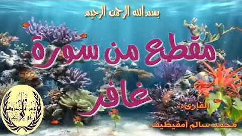 مقطع من سورة غافر/تلاوة هادئة/ للقارىء محمد سالم أمقيطف.