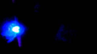 Liquidemotions.com BWG Strobe Dropz 3 !