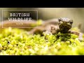 Natural World Facts Quiz