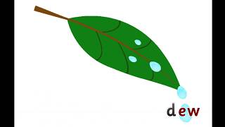 Vowel Digraph -ew