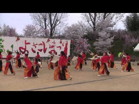 よさこい連「わ」　（2014.04.13篠山よさこい祭り　メインステージ）