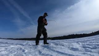 JT Walleye Snare 14” Crappie!