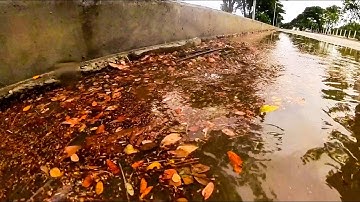 Collect rubbish and leaves that clog the streets, blocking the flow of water into the sewers