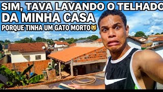 Por que eu tava LAVANDO o telhado? GATO MORTO! 😭 Reação insana