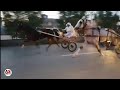 بہترین منظر نصیبہ ولی بمقابلہ سالار اعظم تانگہ ریس