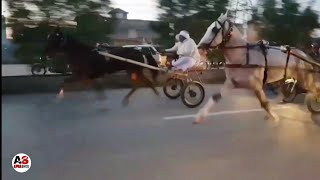 Best Scene Naseeba Wali Vs Salar E Azam Tanga Race