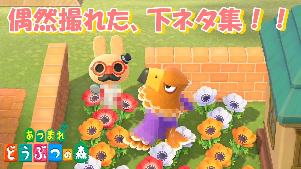 どうぶつ の 森 エロ
