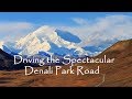 Driving Alaska's Spectacular Denali Park Road