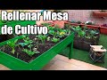 Como rellenar mesa de cultivo || Sustrato para Maceta || Mejor tierra para Maceta || Bananafabric