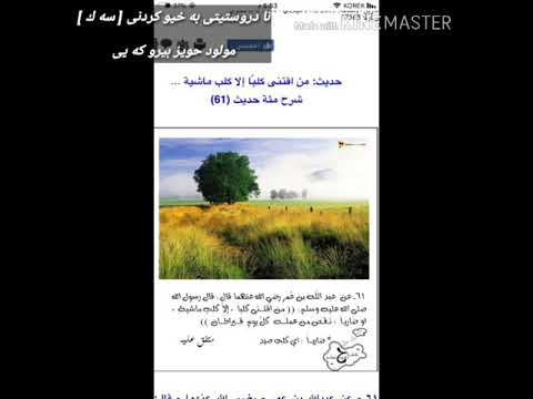 به خێو کردنی سەگ لە ماڵ مولود حويز بيروكه يى به خێو کردنی سەگ لە ماڵ مولود حويز بيروكه يى