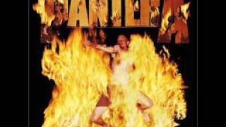 pantera youve gotta belong to it