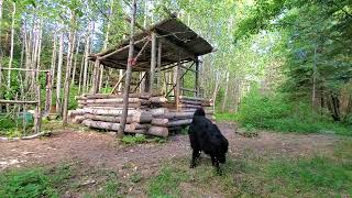 TRNO - The Log Cabin in the woods is really taking shape!