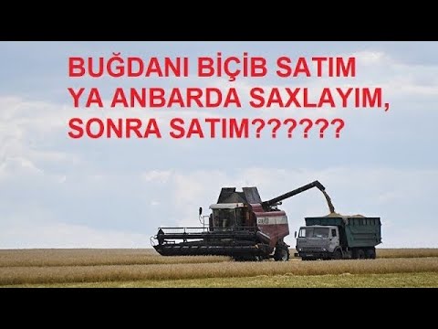 Video: İşi necə sevmək olar (şəkillərlə)