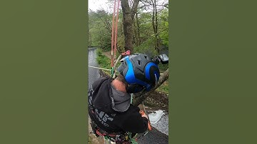 Tree Work With a View | Rigging | 2 ropes