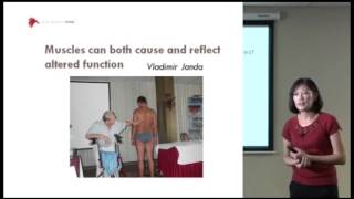 Importance of looking at functional movement