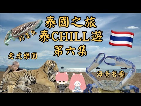 【曼谷-芭提雅11天】-  EP6 #泰國之旅 🇹🇭 芭提雅老虎樂園|炸魚海景餐廳|芭堤雅最大型市集|夜釣墨魚🦑