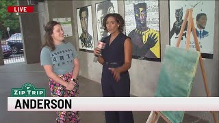 Zip Trips: Anderson Art Center, Wren Pavilion Art Gallery