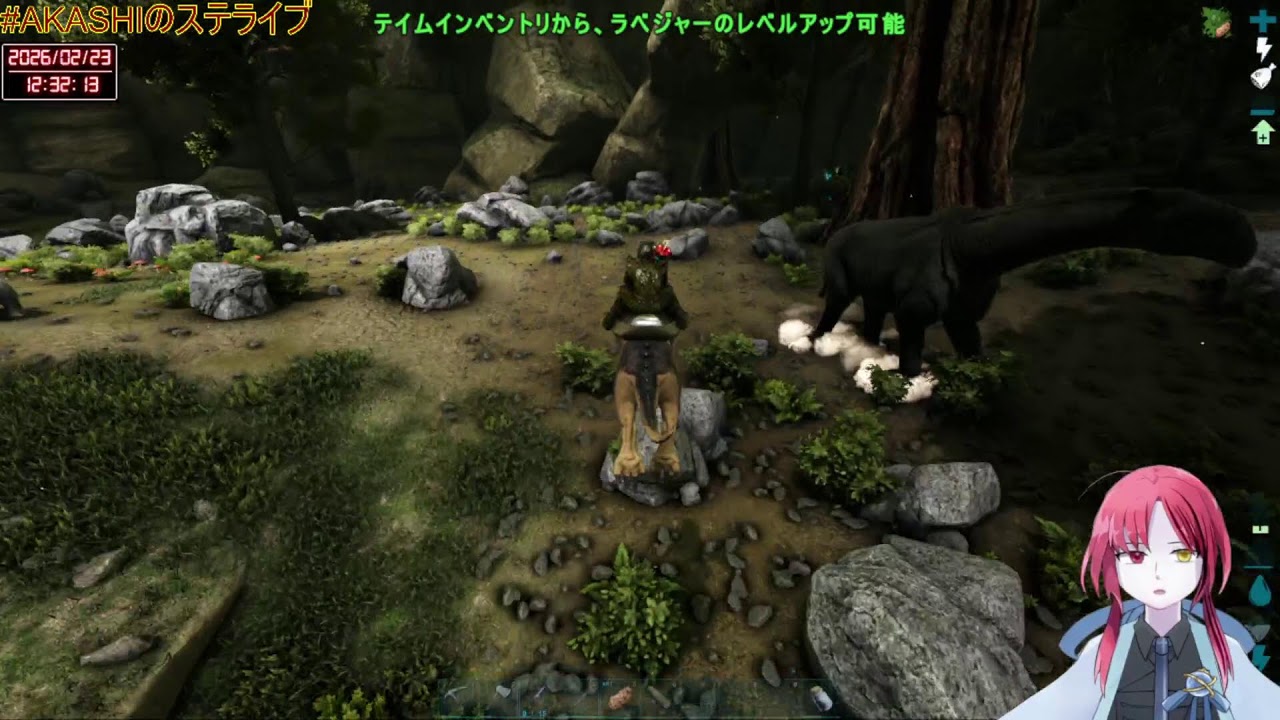 【がおー】カニテイムしたい【恐竜さん】#ライブ配信 #vtuber